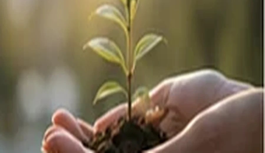 مدیریت استرس و اضطراب
